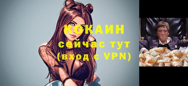 мяу мяу мука Армянск