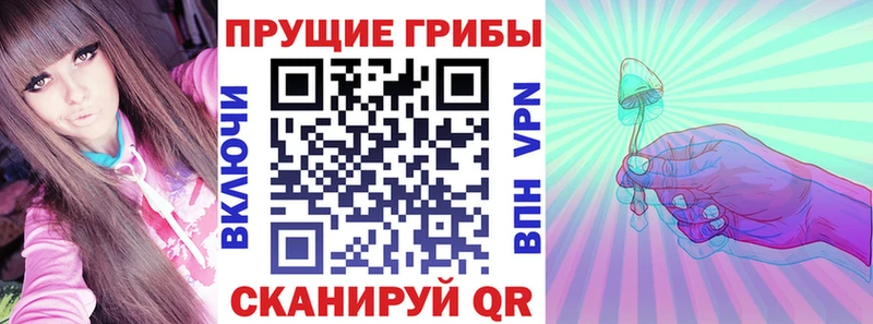 кракен зеркало  Яблоновский  Галлюциногенные грибы мицелий 